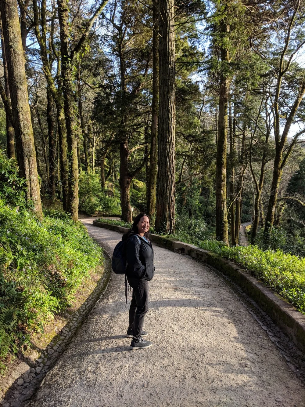 The park section is HUGE