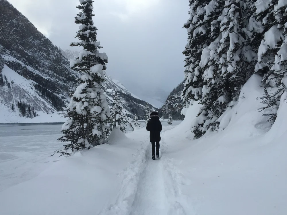 Lake Louise lakeshore trail