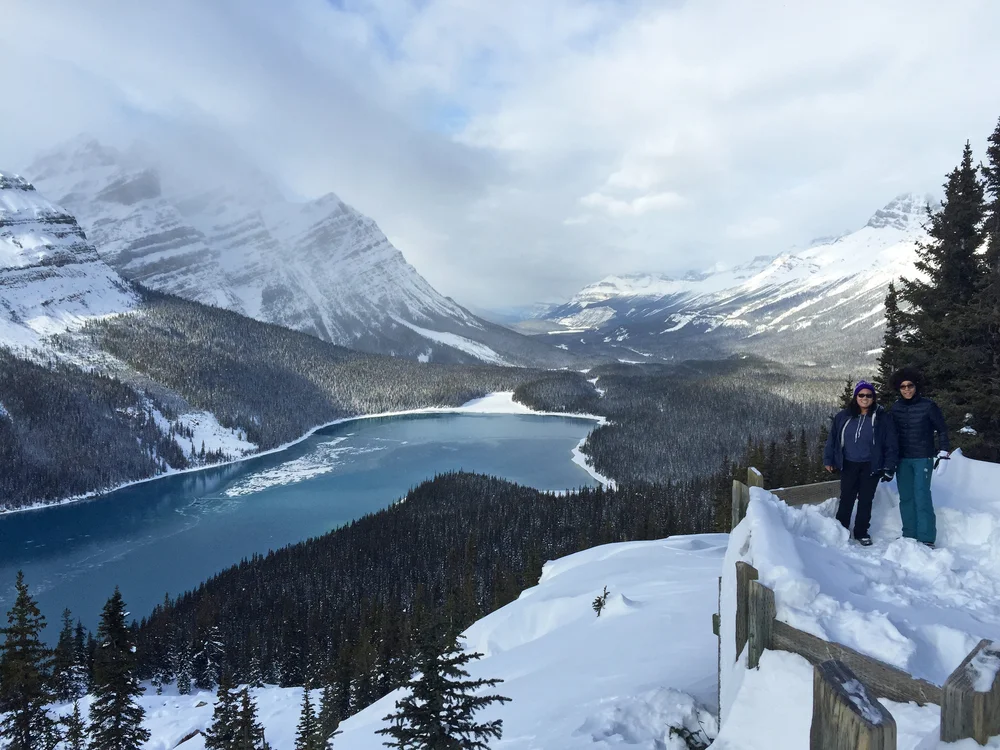 There we are in the corner!