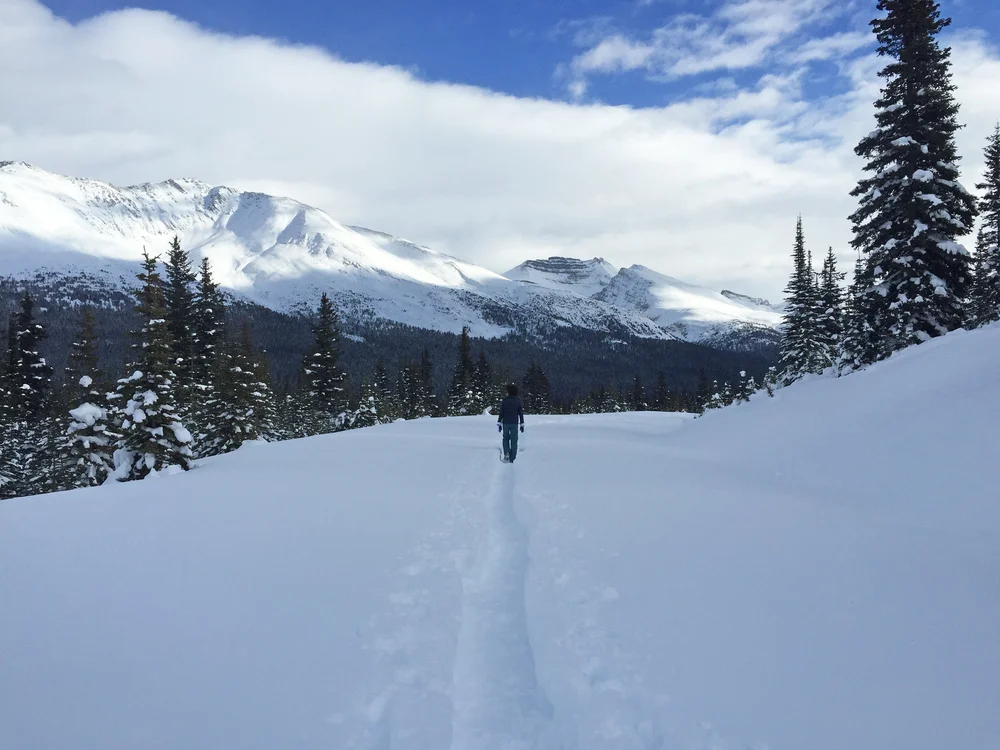 Walked through couple feet of snow