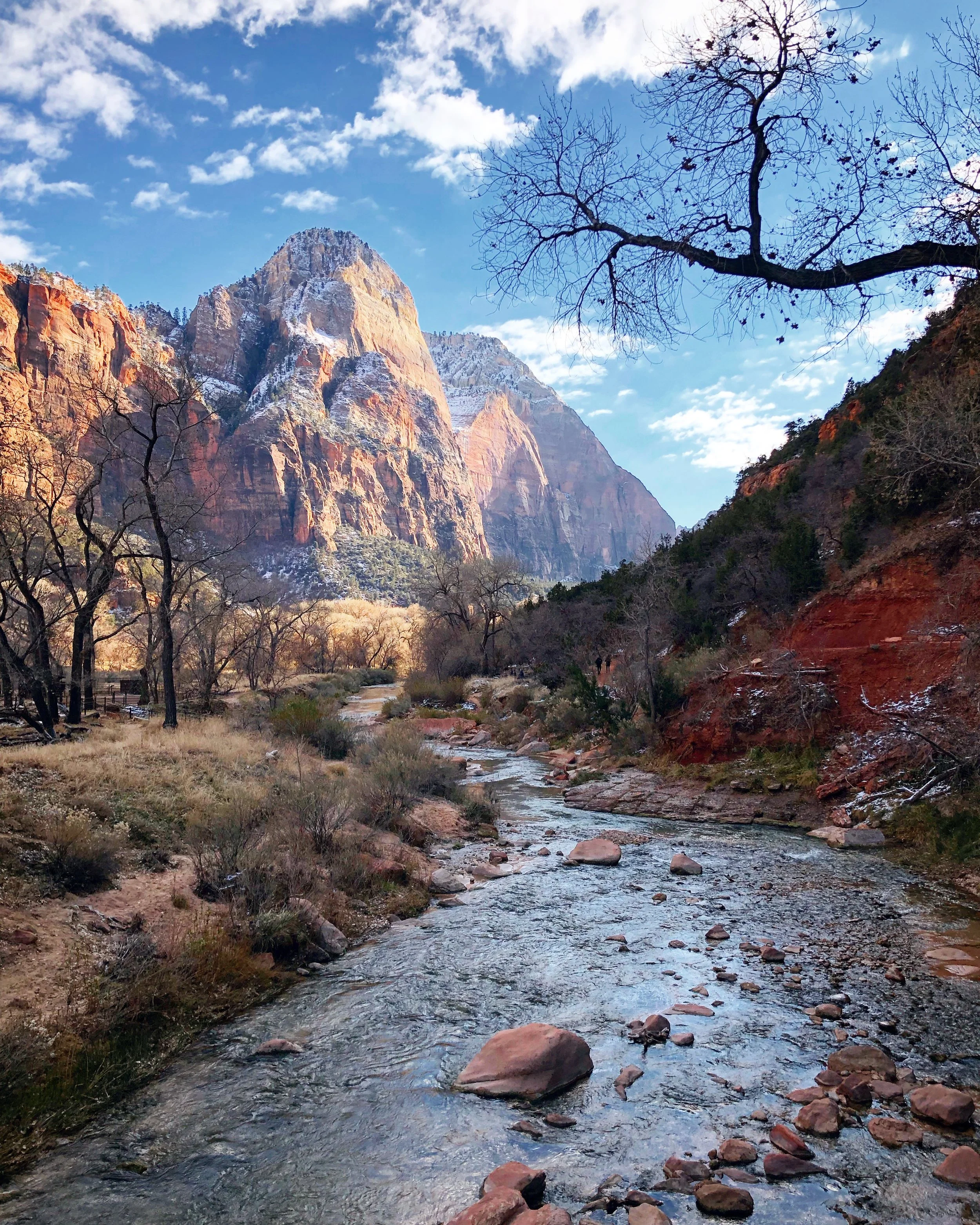 Zion, Bryce Canyon, Grand Canyon National Parks Roadtrip