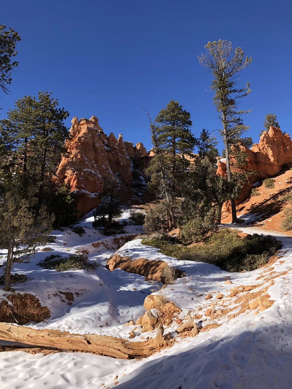 Queen's Garden Trail