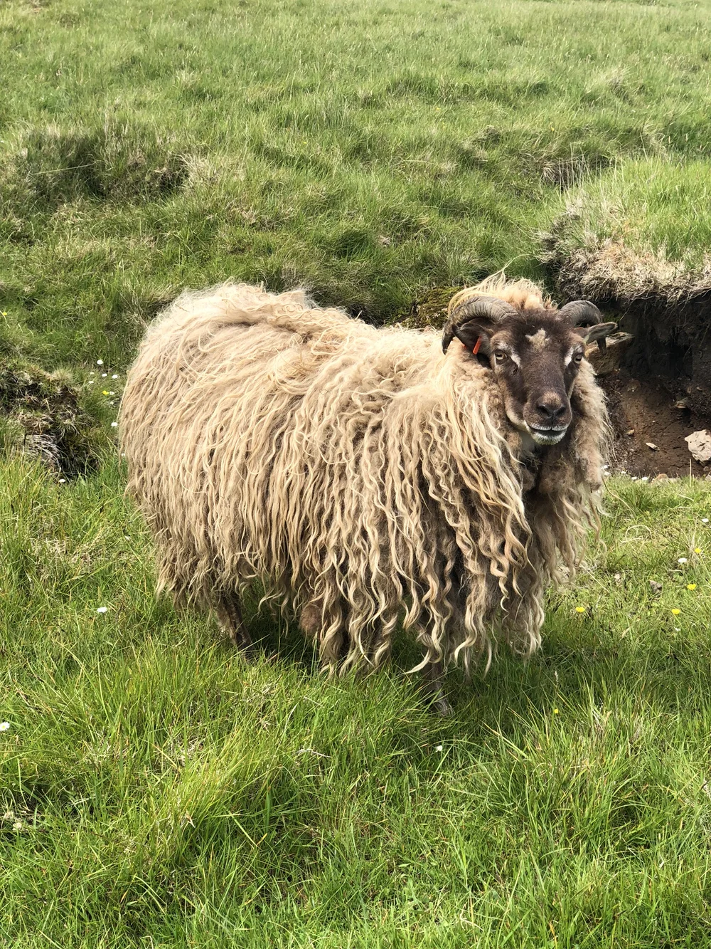 Of course, plenty of sleep