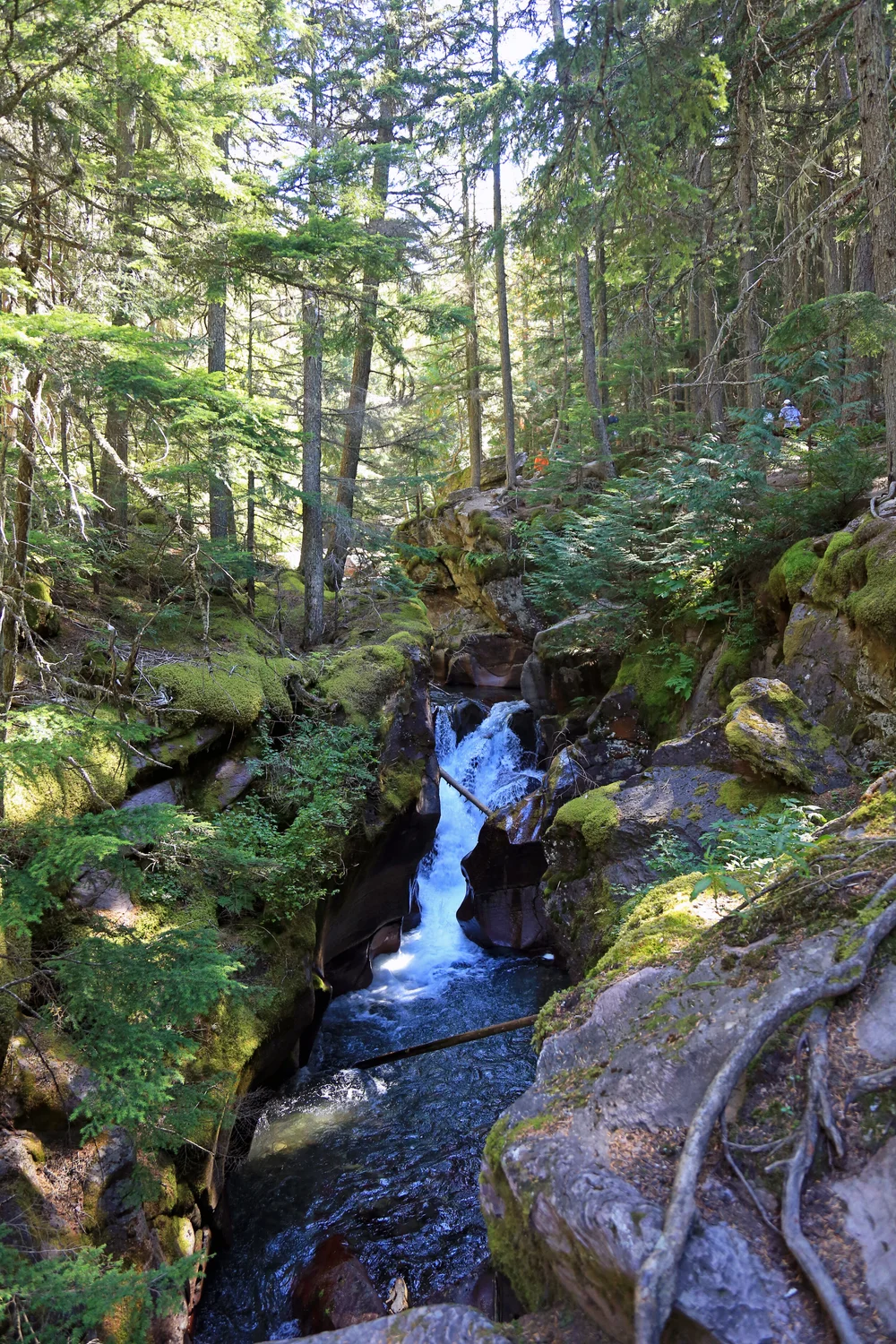 Avalanche Creek