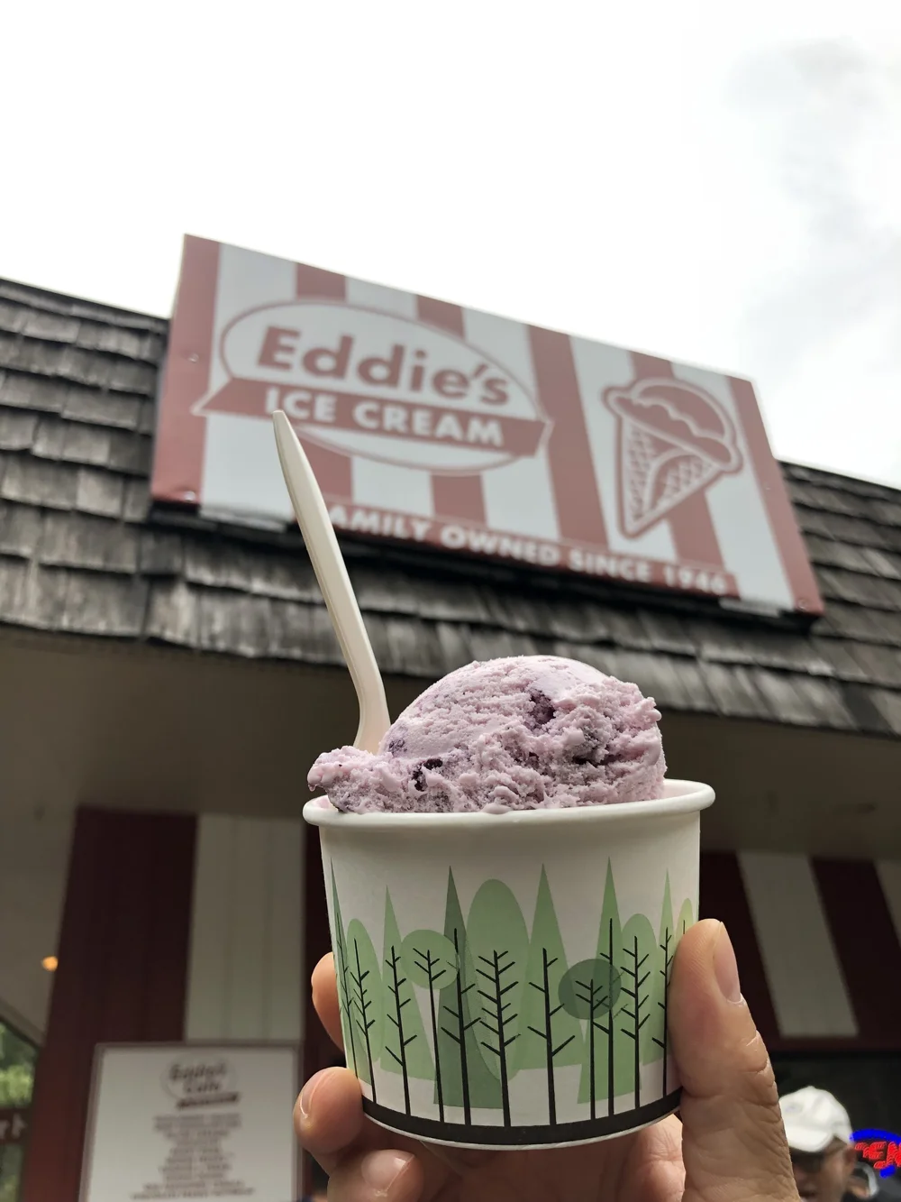 Huckleberry ice cream