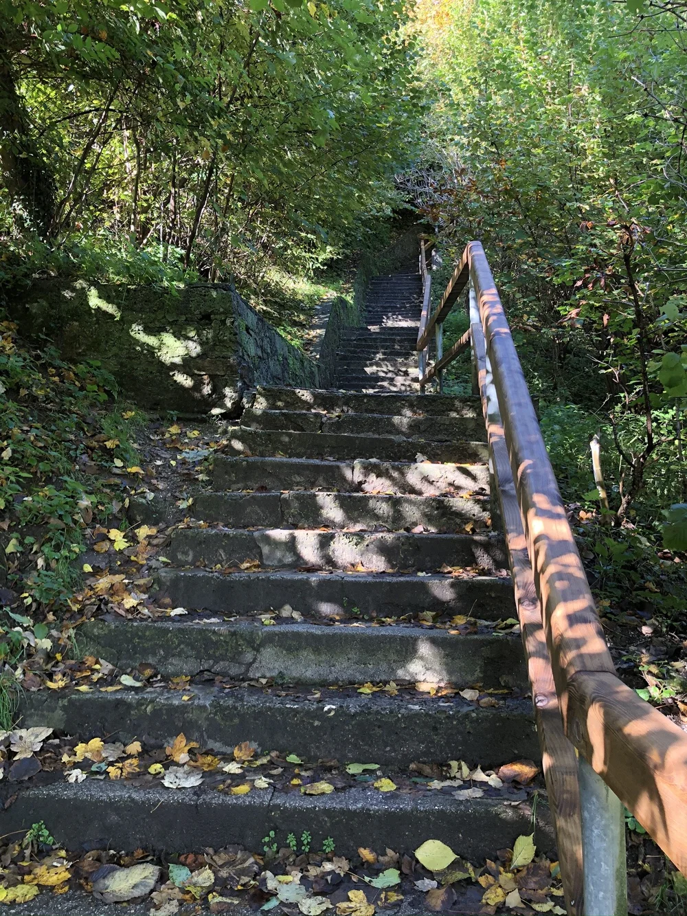 Mönchsberg City Trail