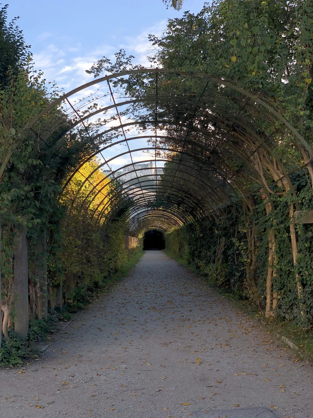 Mirabellgarten