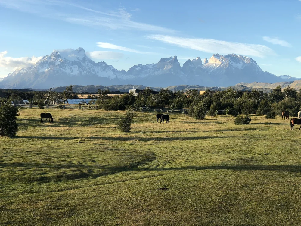 Amazing scenery from the hotel