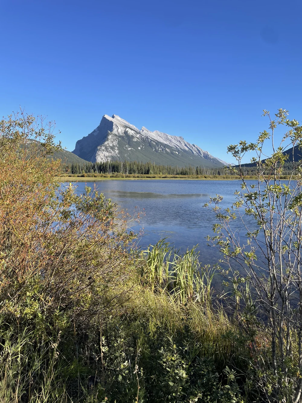 Beautiful view of Mt. Rundle