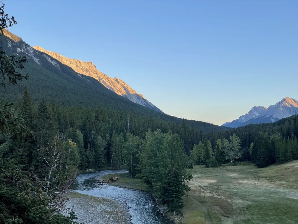 View from Waldhaus patio