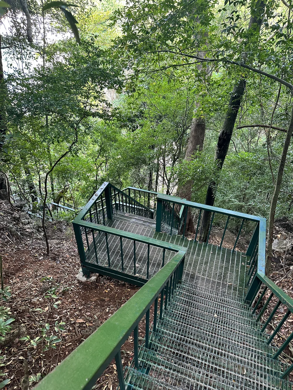 Stairs up to the 360 view point