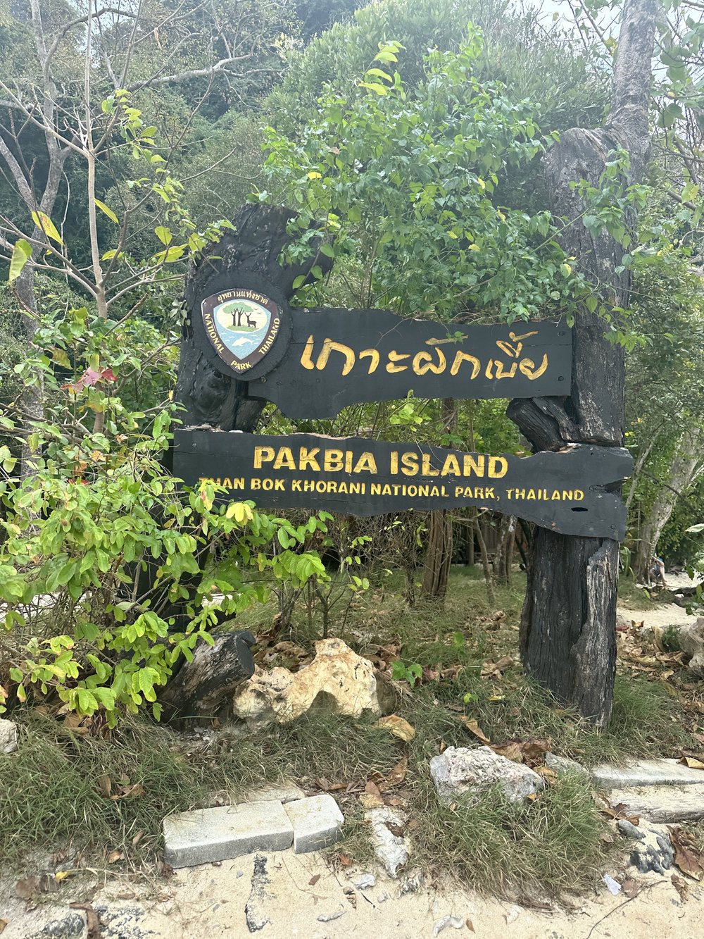 Pakbia Island