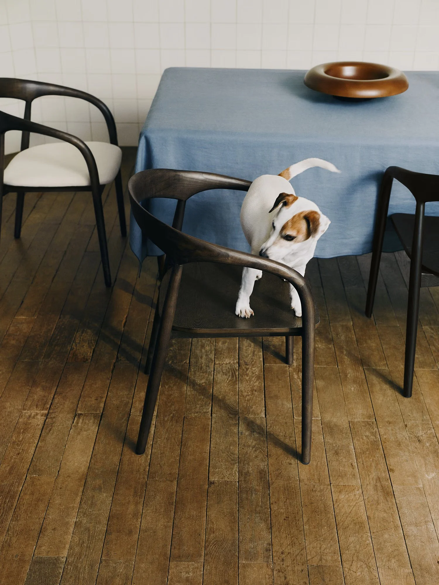 2025-04-BA-WESTWING-CHAIRS-07-Chamille-DOG-0957.jpg