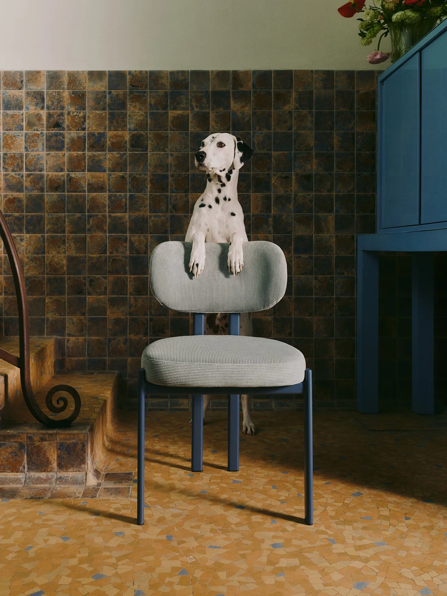 2025-04-BA-WESTWING-CHAIRS-09-Adrien-DOG-0512.jpg