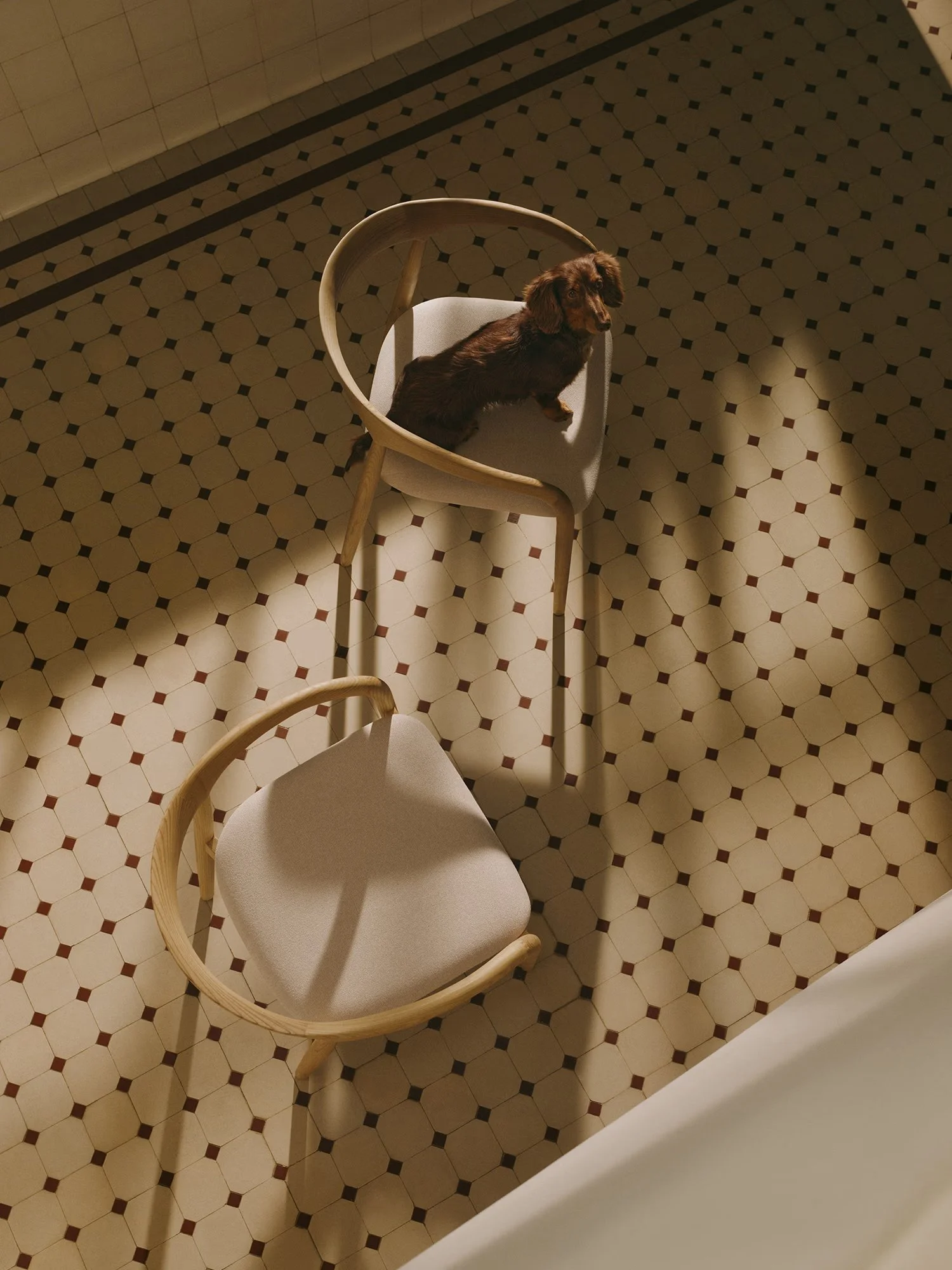 2025-04-BA-WESTWING-CHAIRS-15-Chamille-DOG-02-1448.jpg