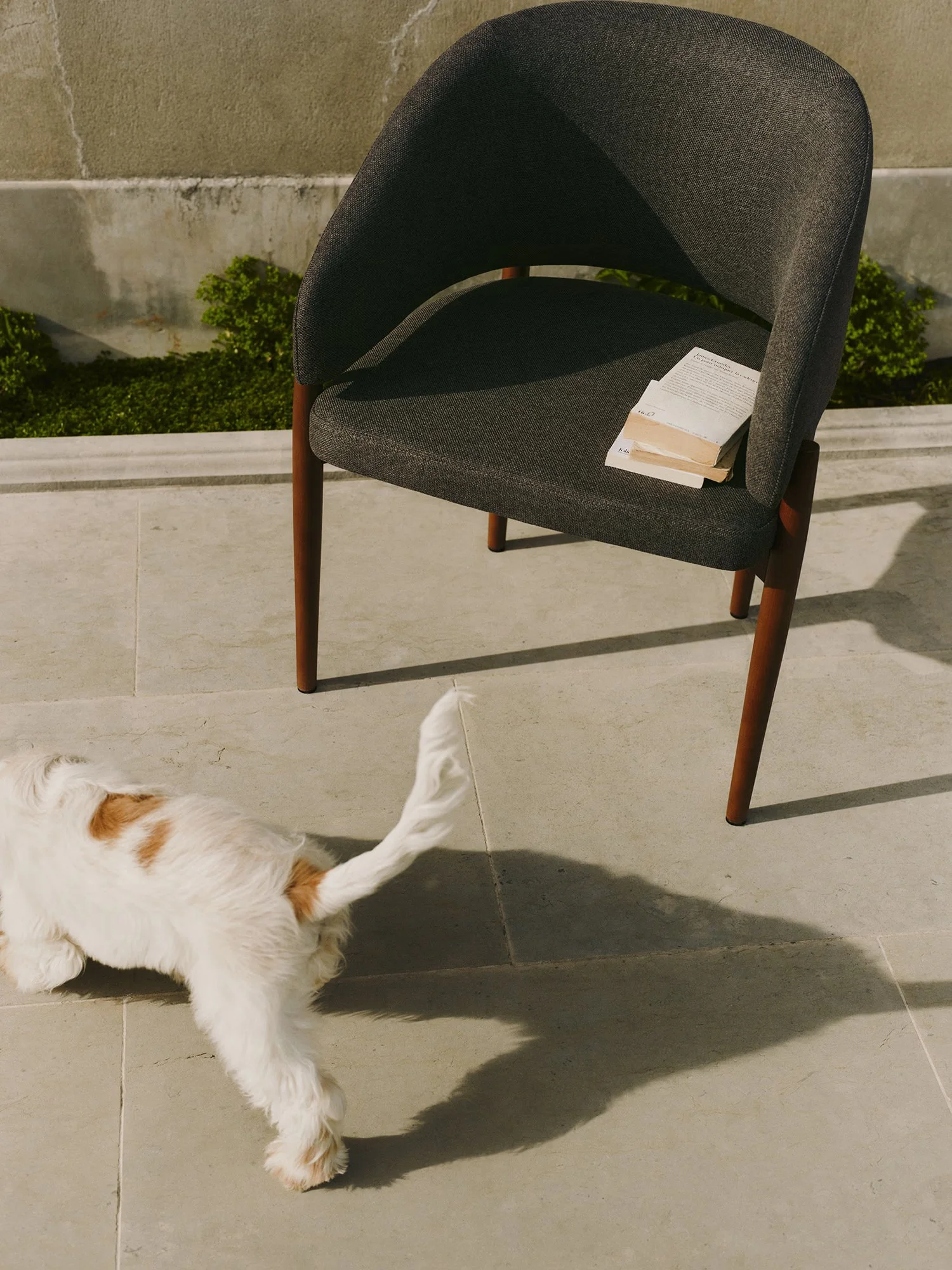 2025-04-BA-WESTWING-CHAIRS-08-Nemo-DOG-2746.jpg