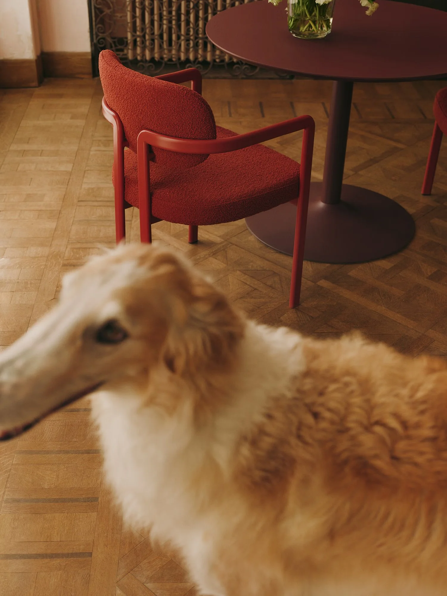 2025-04-BA-WESTWING-CHAIRS-18-Adrien-DOG-02-2379.jpg