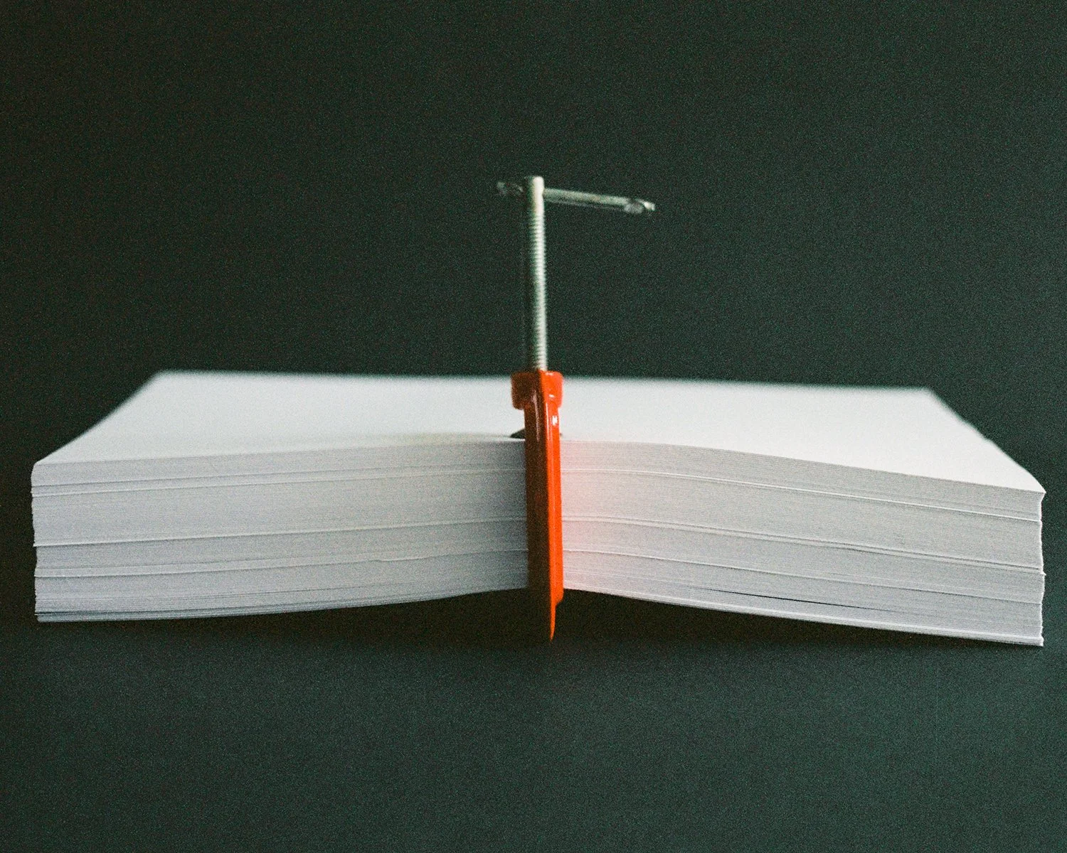 Lucia Garcia Rey _ Hugo Aldatz  _008.jpg