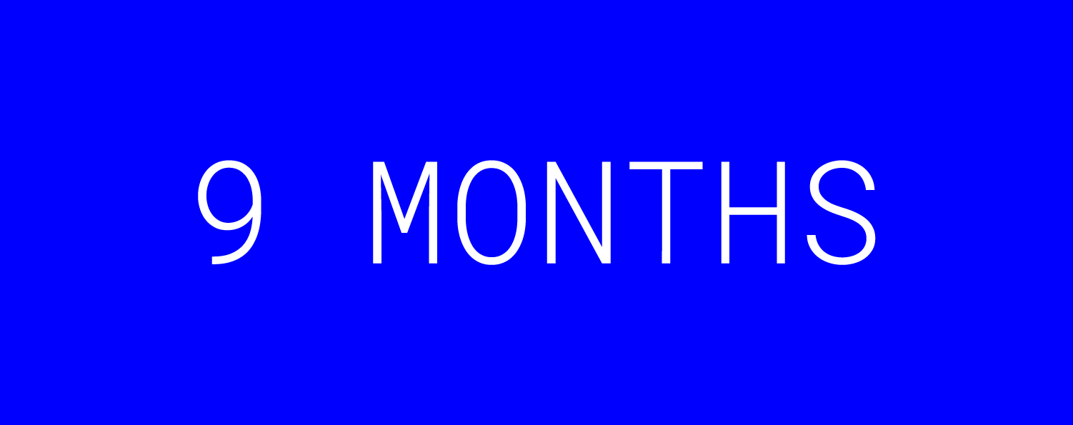 14-DISINI-Homepage-9-months.png