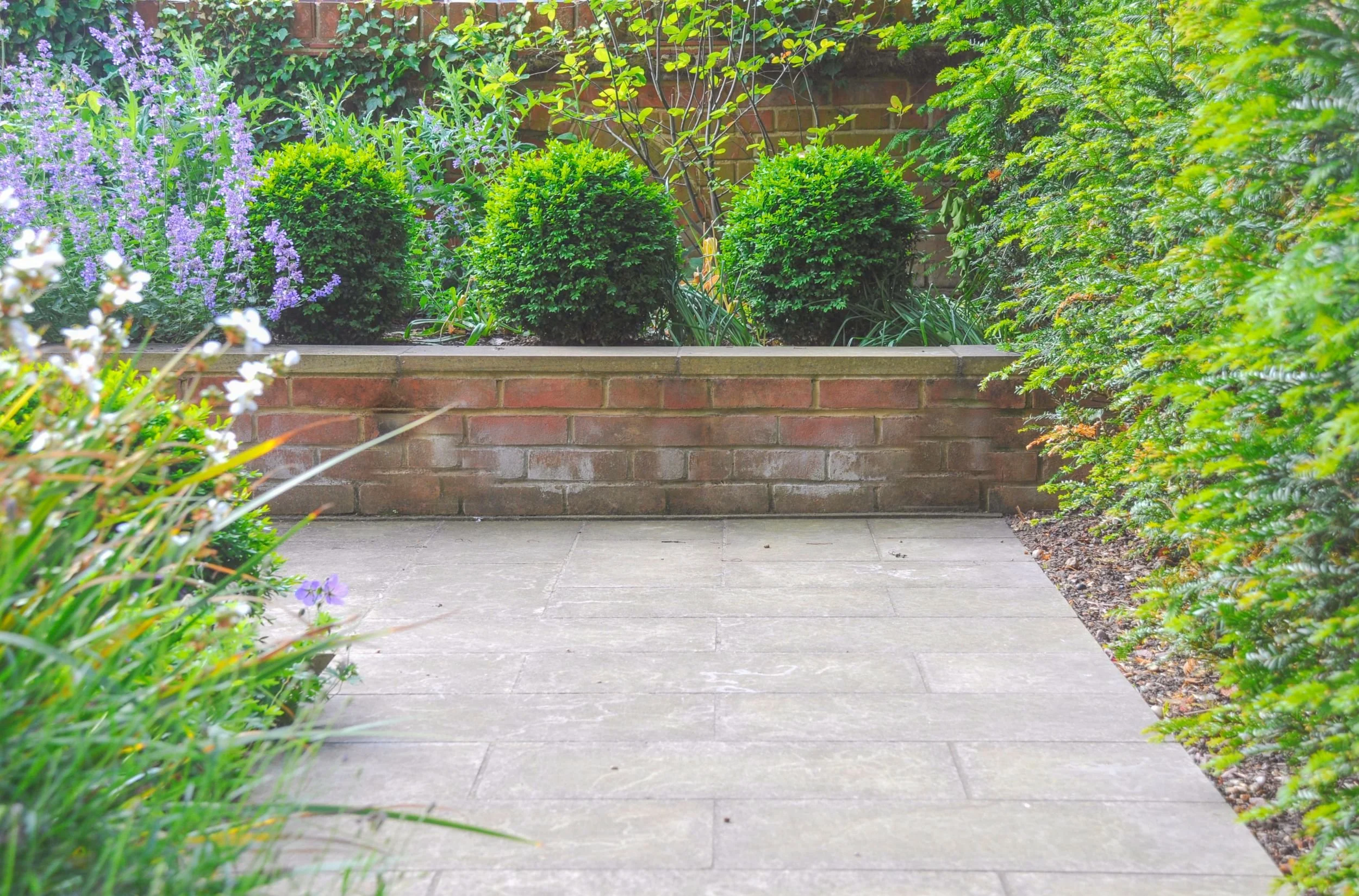 Sawn Yorkstone patio bordered by a low brick wall with catmint, box balls and clipped yew in a Wimbledon Village front garden

A generous sawn Yorkstone patio sits below a raised brick-edged border planted with drifts of Nepeta, clipped box balls and
