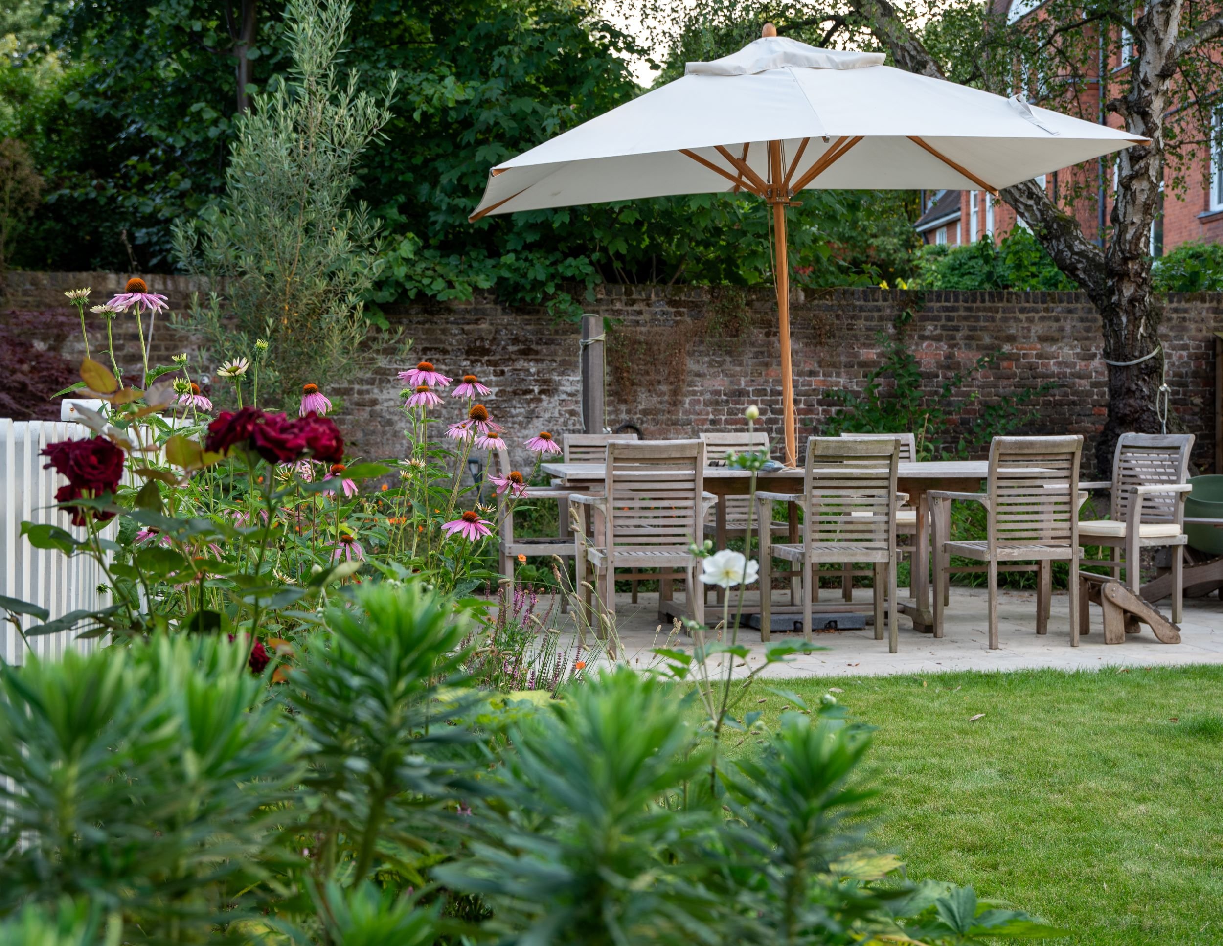 Echinacea, roses and salvia fill the foreground of a planted border beside a garden dining terrace in Wimbledon Village. JaneShanksterGardenDesign.co.uk

Pink echinacea and deep red roses rise in front of a white picket fence, with the garden's dinin