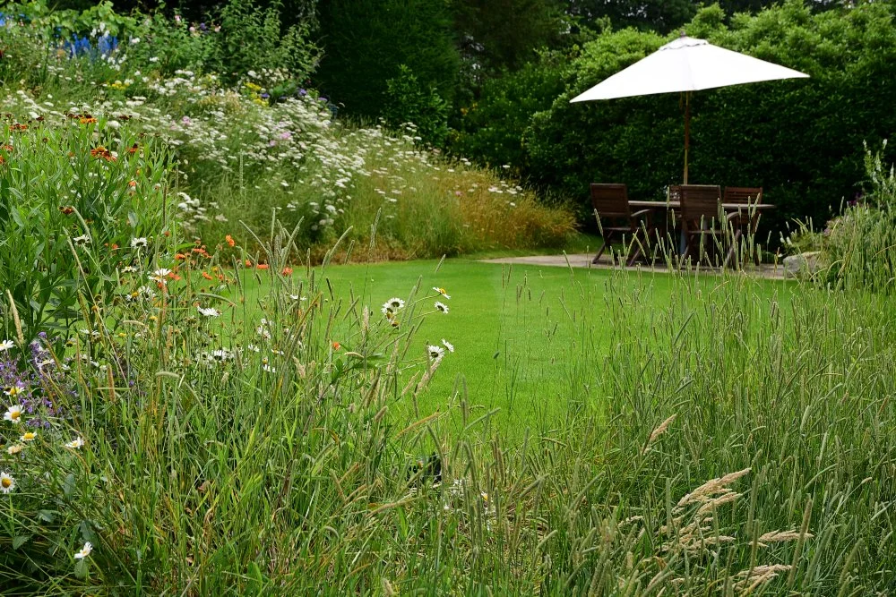 Ox-eye daisies and grasses spill over a wildflower bank beside a mown lawn leading to a shaded terrace. JaneShanksterGardenDesign.co.uk.

Seen from lawn level, this wildflower bank reads almost as meadow, its oxeye daisies, poppies and grasses left t