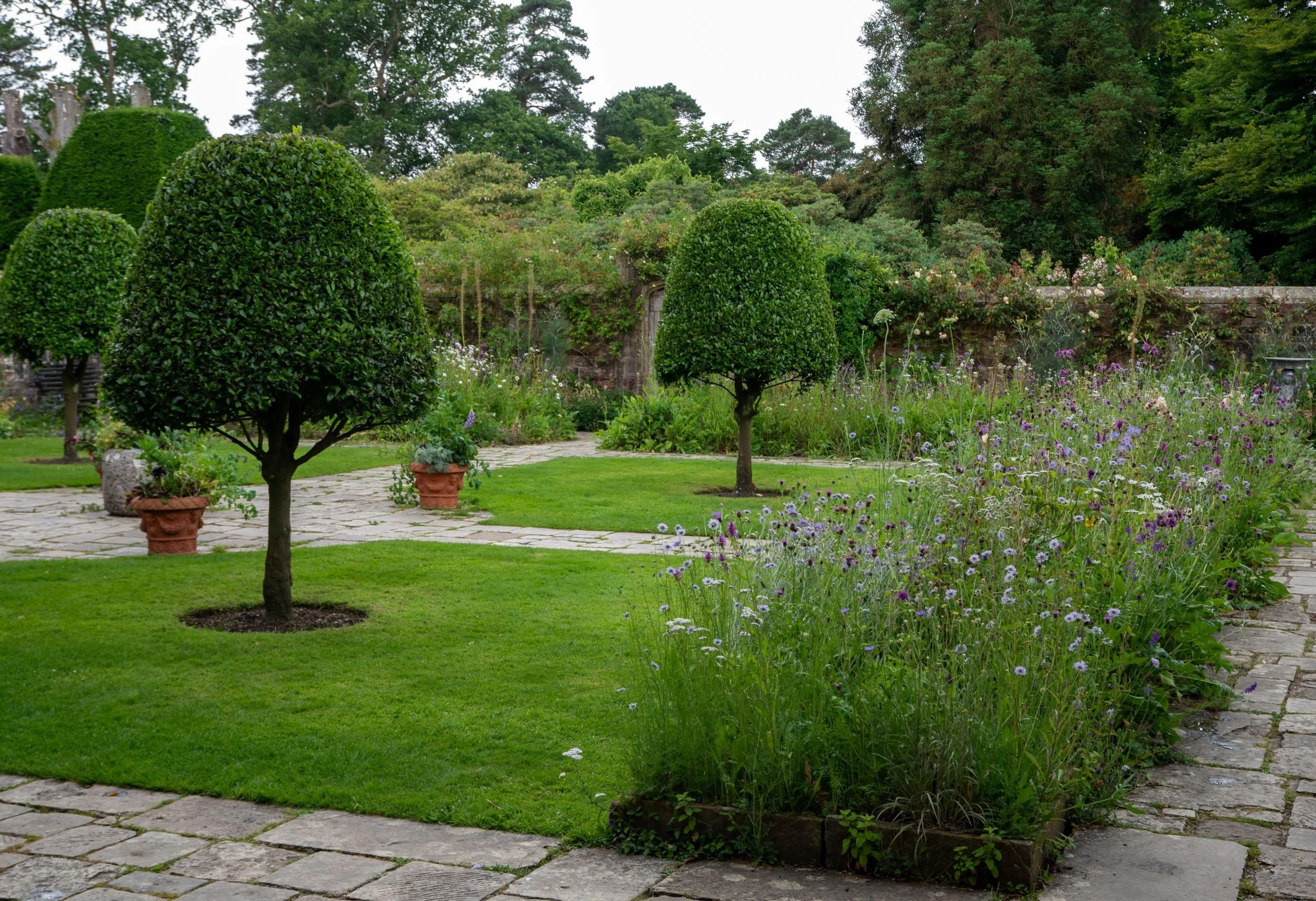 Clipped standard trees in terracotta pots on a stone-paved forecourt at Nymans, with a wildflower border and old garden wall behind.