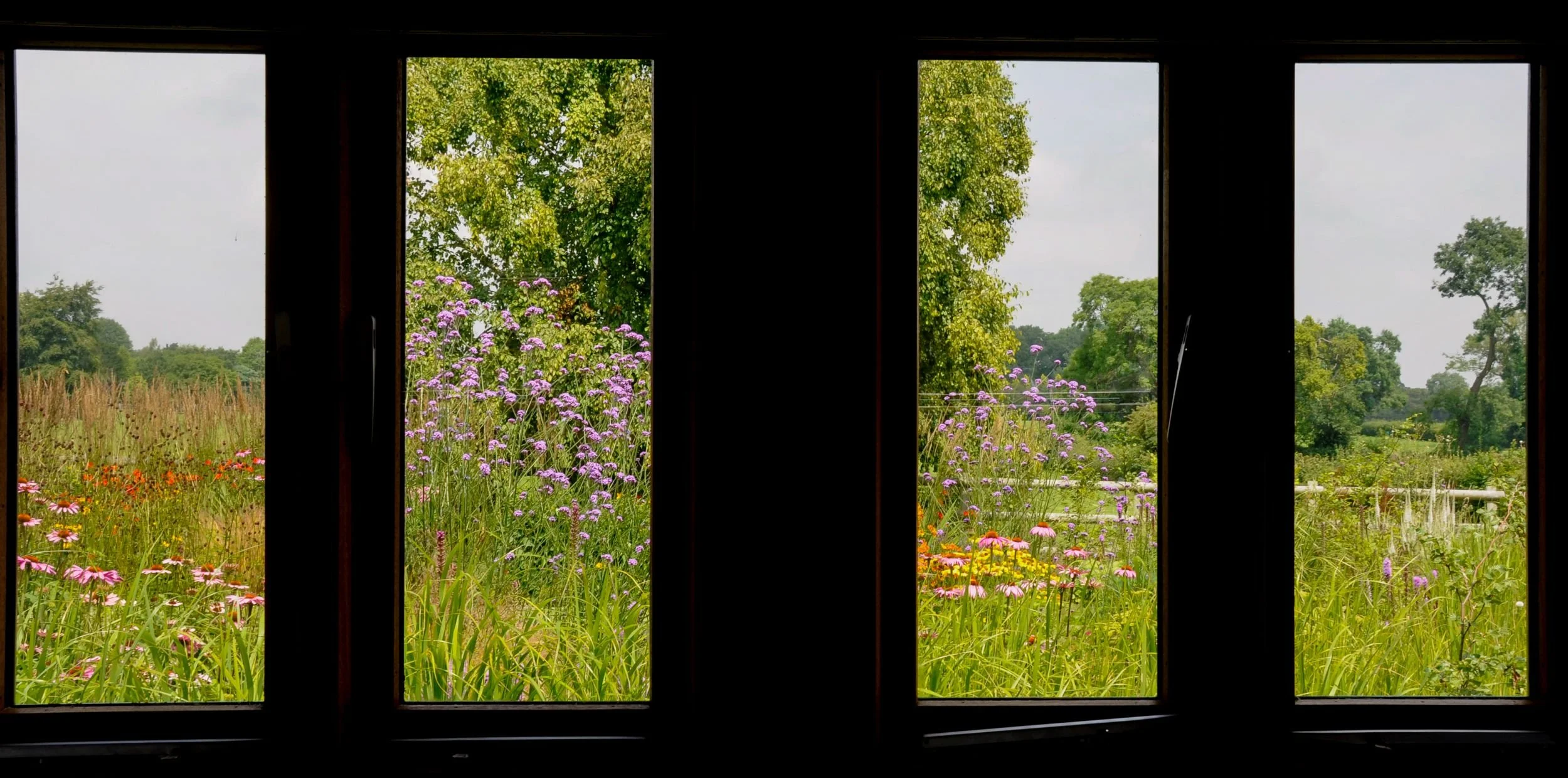 Casement windows frame views of a colourful prairie-style border and countryside beyond in a Surrey garden. JaneShanksterGardenDesign.co.uk.

Framed by a run of windows, this view captures exactly why a well-designed garden matters for wellbeing: ech