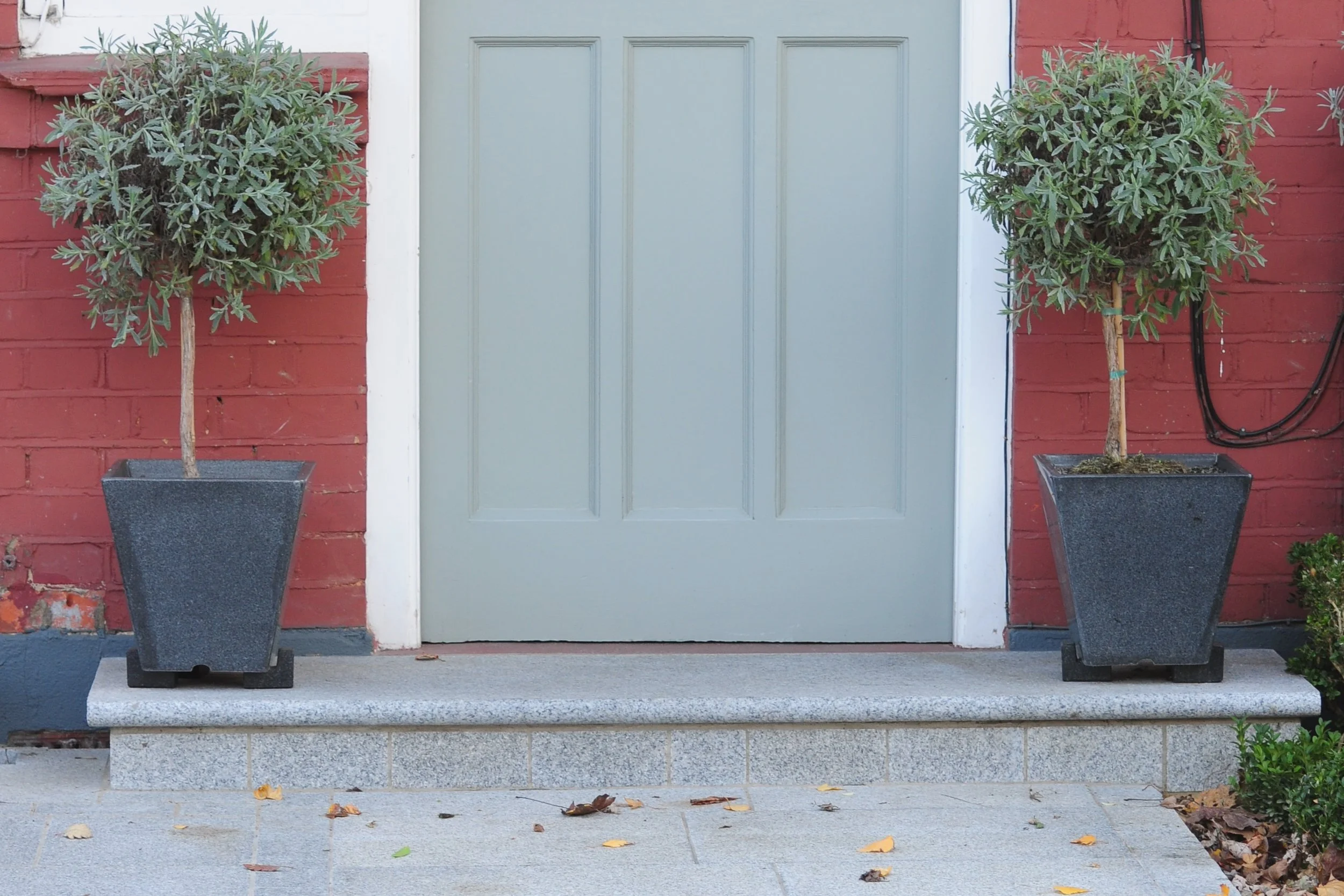 Twickenham front garden 2 Arthur Road Landscapes.jpg