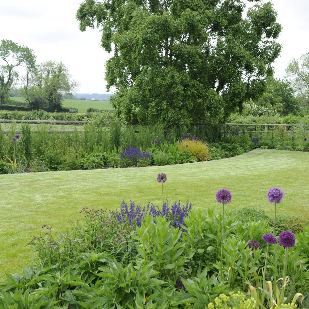 Evolution of a garden 6 Arthur Road Landscapes.jpg