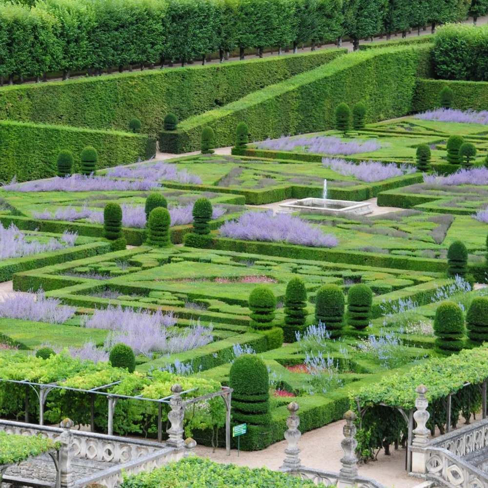 Chateau Villandry 6 Arthur Road Landscapes.jpg