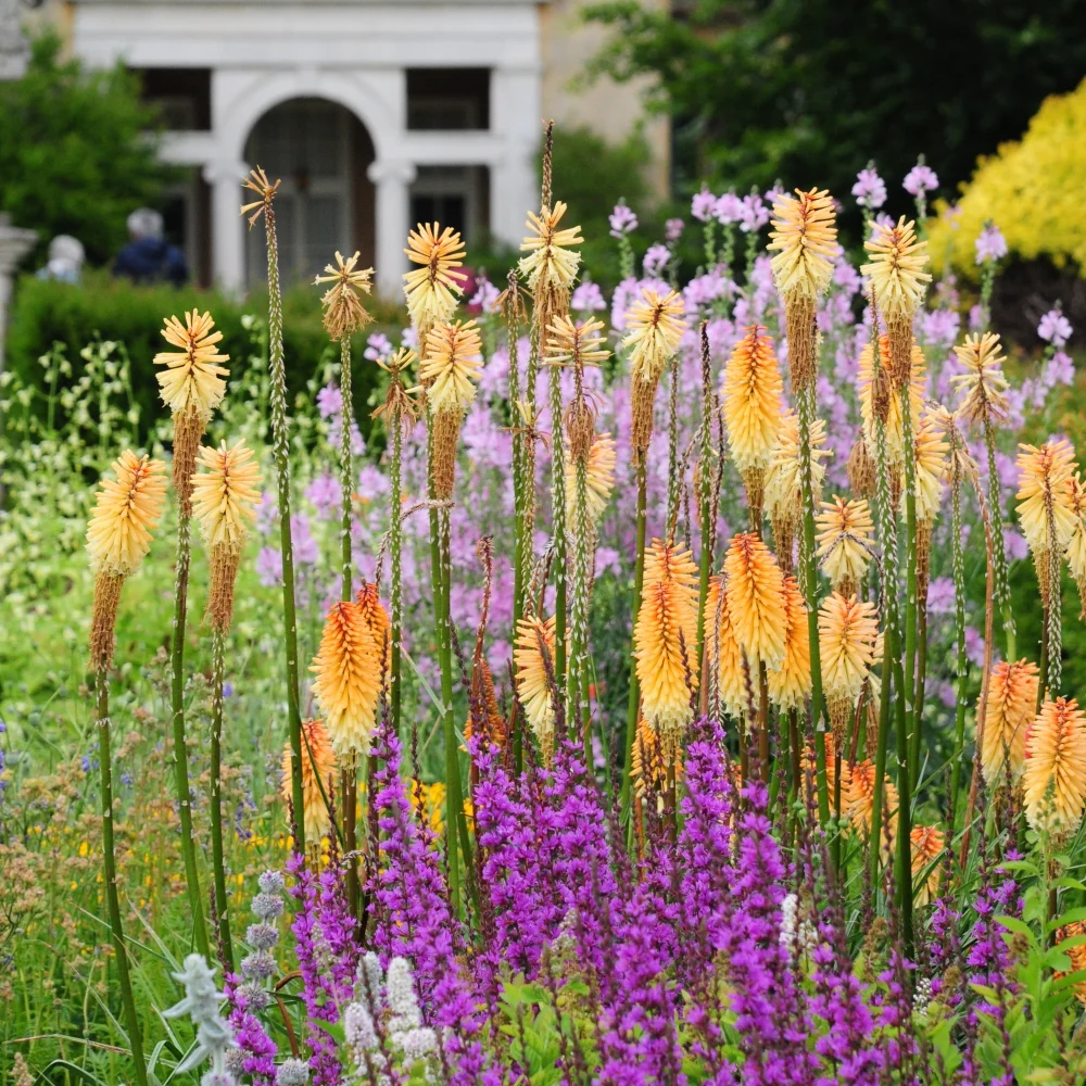 Polesden Lacey 13 Arthur Road Landscapes.jpg