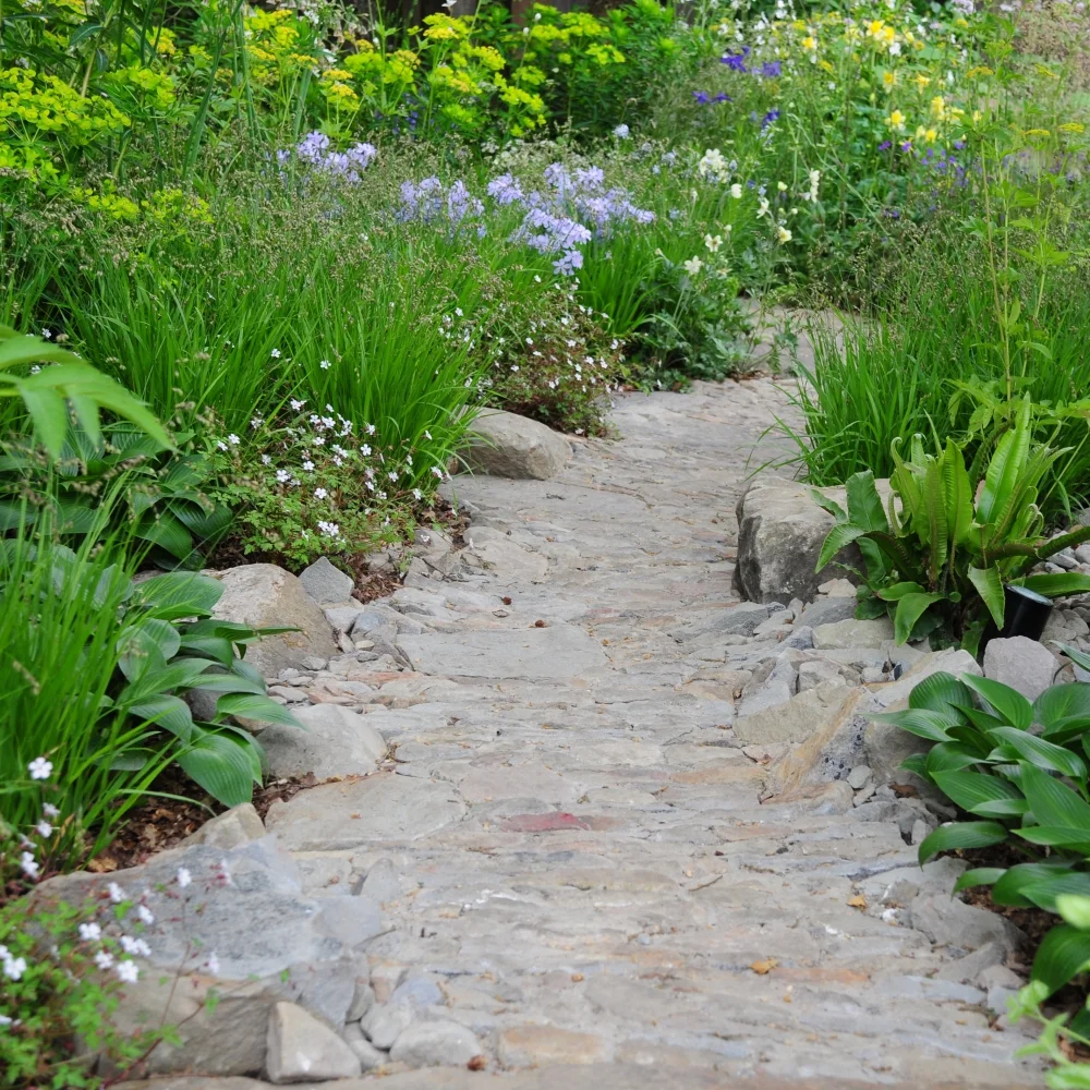 Chelsea 2016 1 Arthur Road Landscapes.jpg