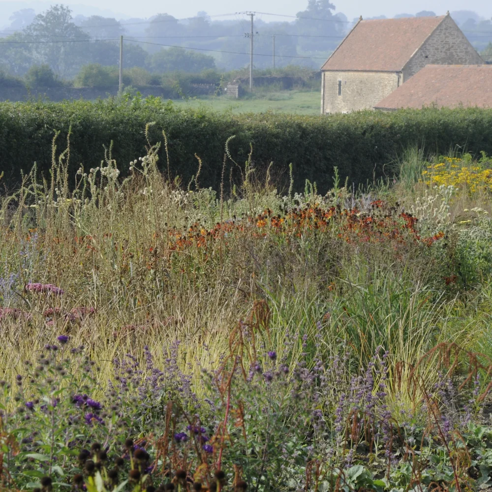 Hauser & Wirth 2 Arthur Road Landscapes.jpg