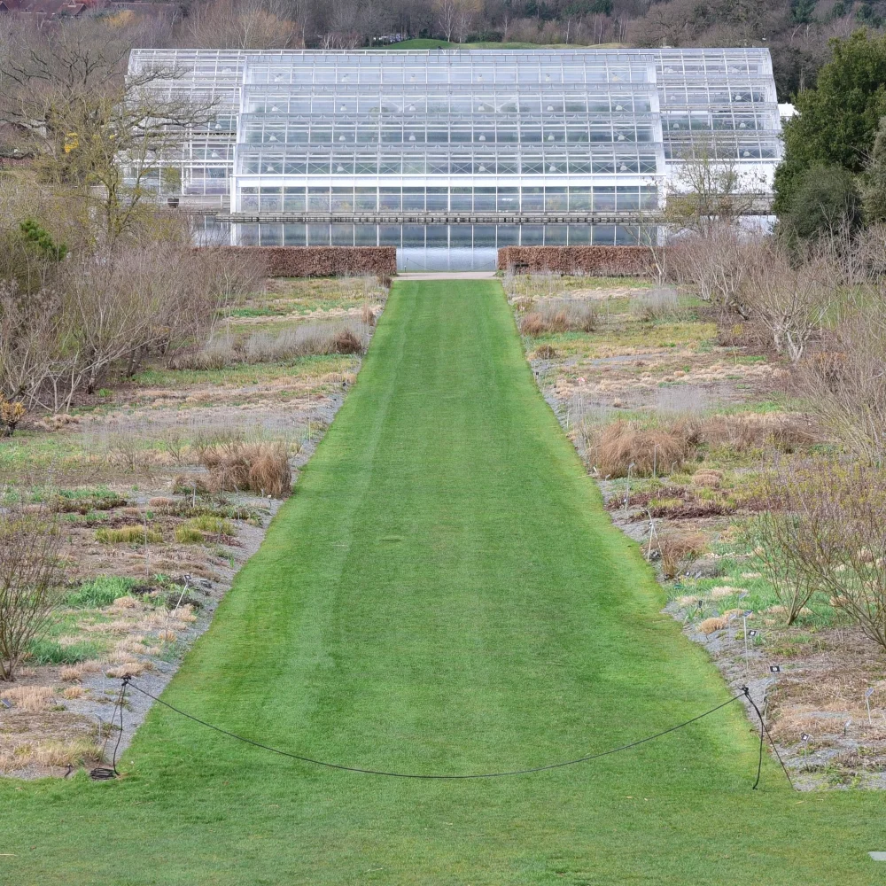 Wisley Glasshouse 12 Arthur Road Landscapes.jpg