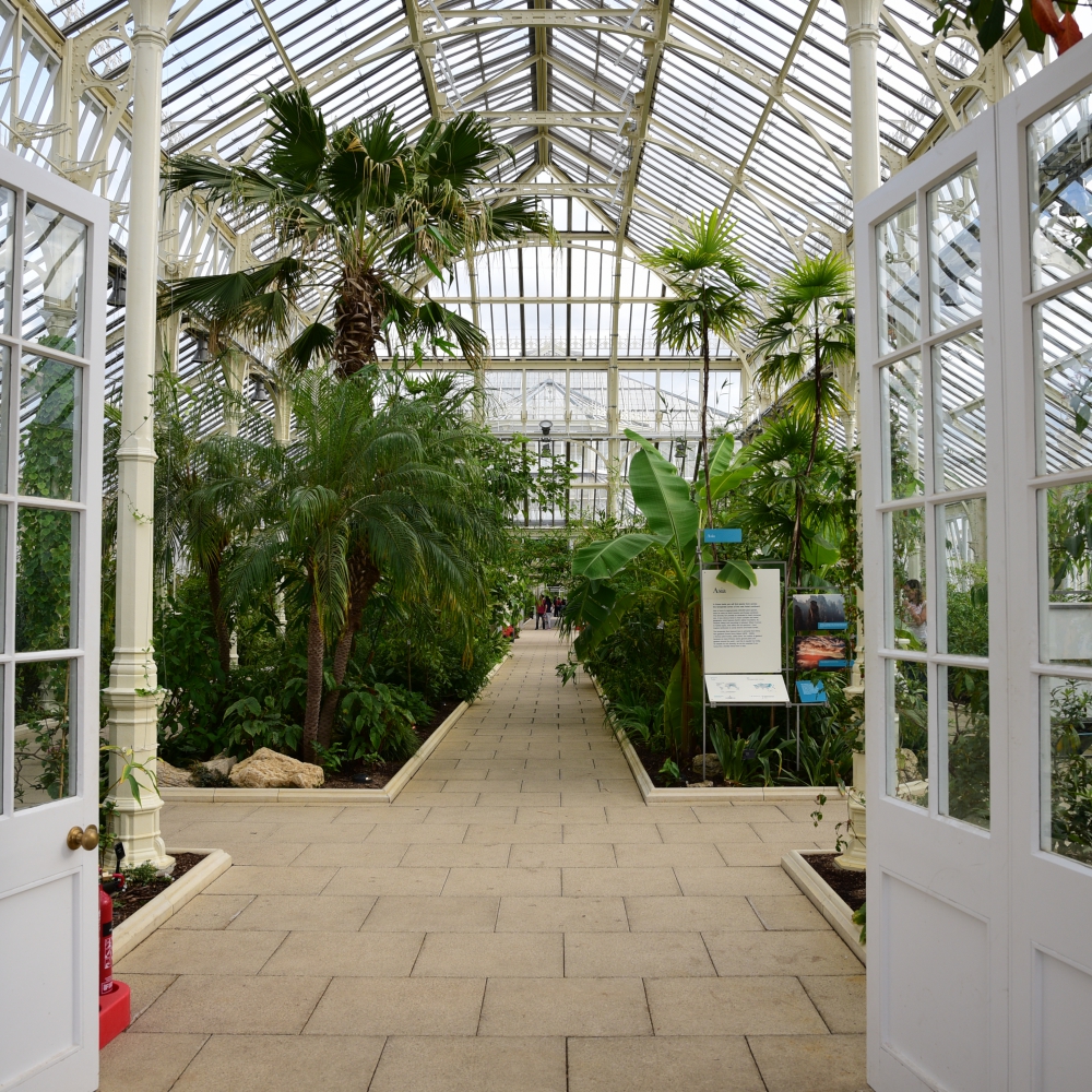 The Temperate House at Kew — Arthur Road Landscapes