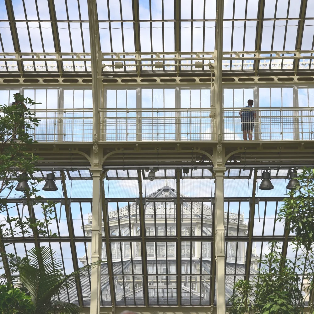 The Temperate House Kew 3 Arthur Road Landscapes.jpg