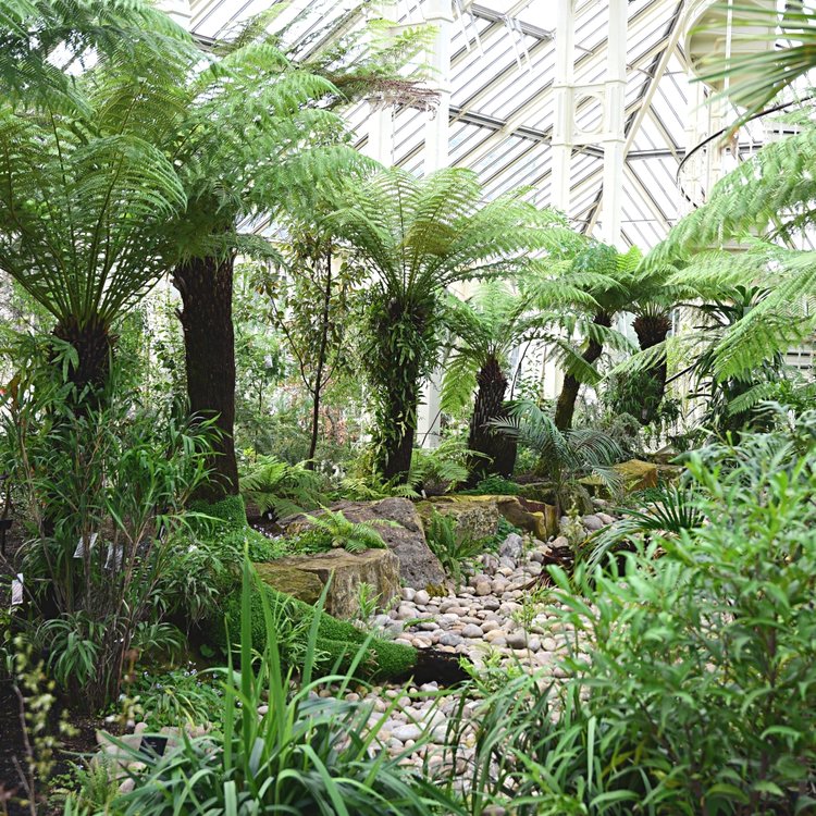 The Temperate House at Kew — Arthur Road Landscapes
