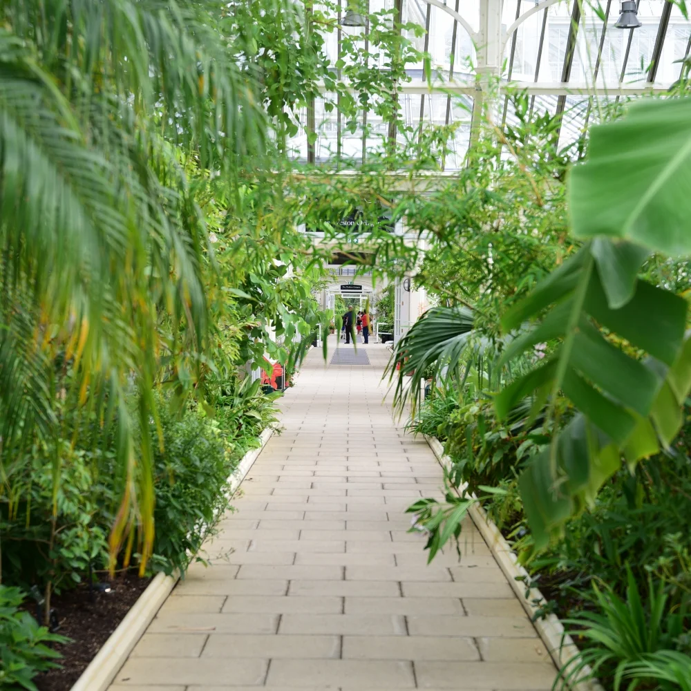 The Temperate House Kew 10 Arthur Road Landscapes.jpg
