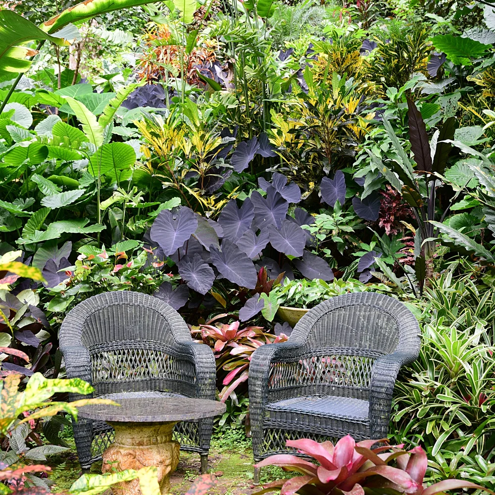 Hunte's Gardens Arthur Road Landscapes.jpg