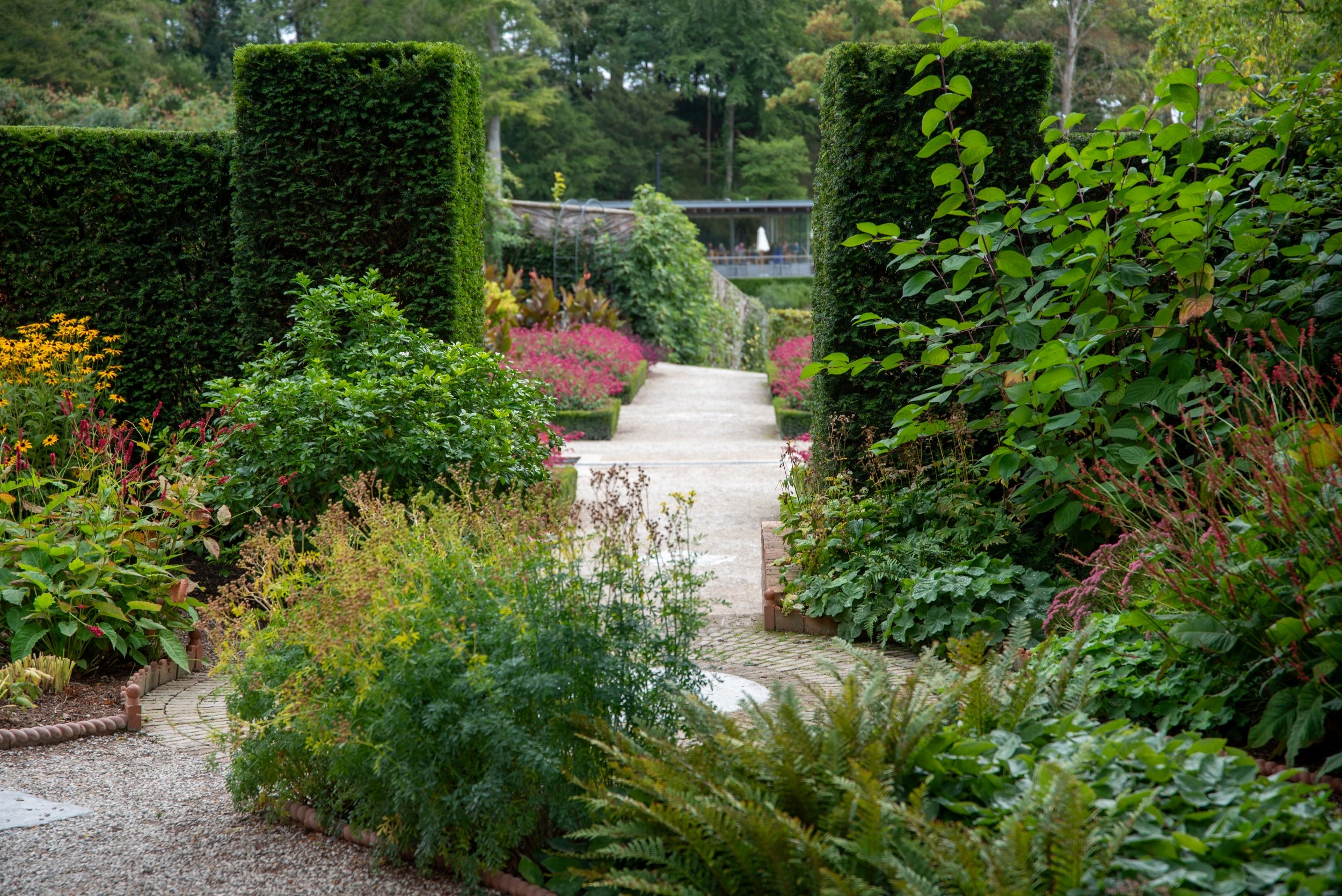 A gravel path through a walled garden at The Newt, flanked by tall clipped yew hedges and borders of pink and yellow flowers.