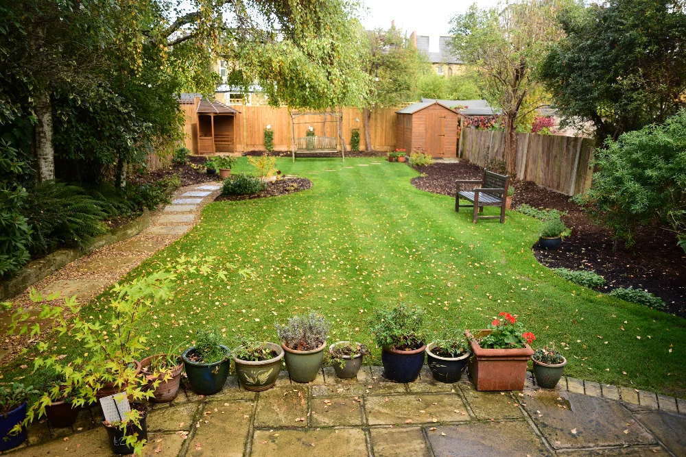 Wimbledon new planting project before Arthur Road Landscapes.jpg