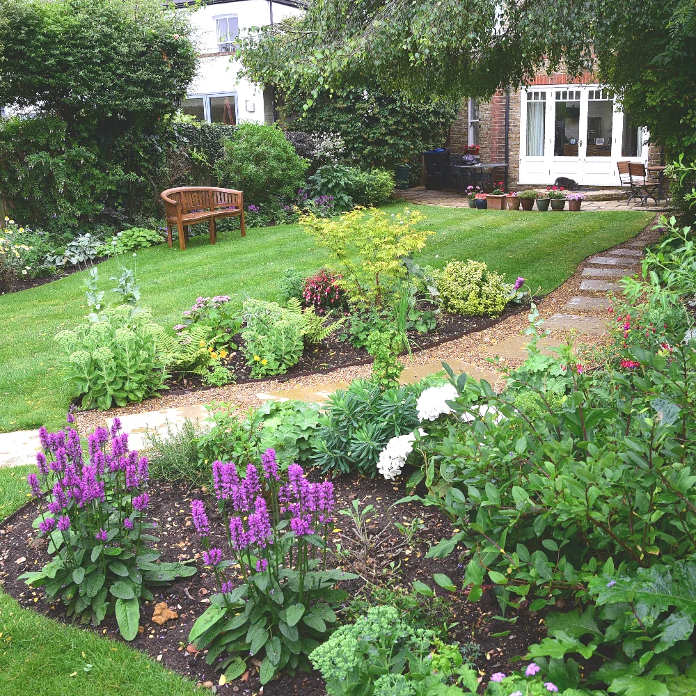 Wimbledon new planting project 2 Arthur Road Landscapes.jpg