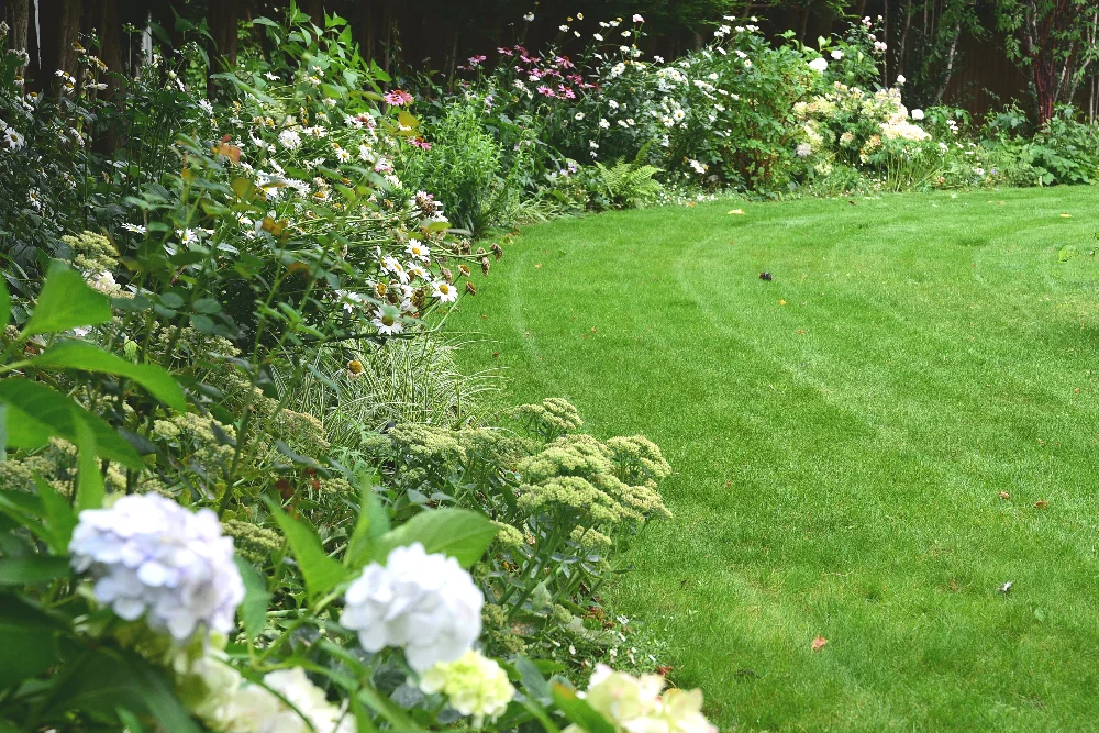 Wimbledon Commom border Arthur Road Landscapes.jpg