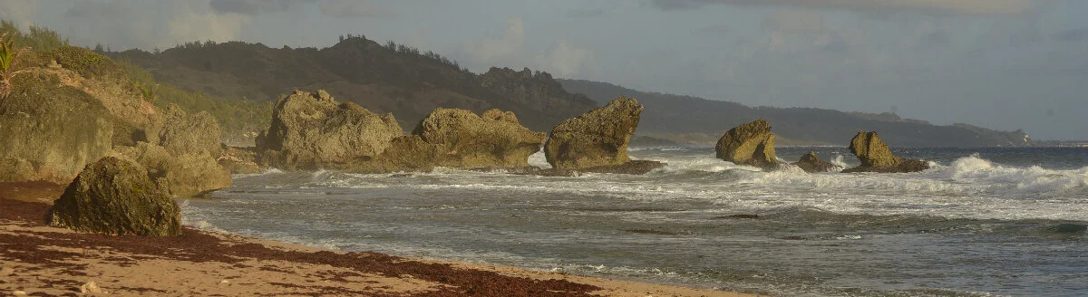 West coast Barbados 2 Arthur Road Landscapes.jpg