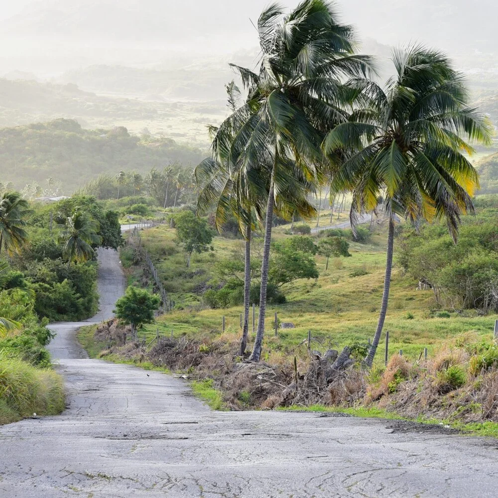 Cherry Tree Hill Arthur Road Landscapes.jpg