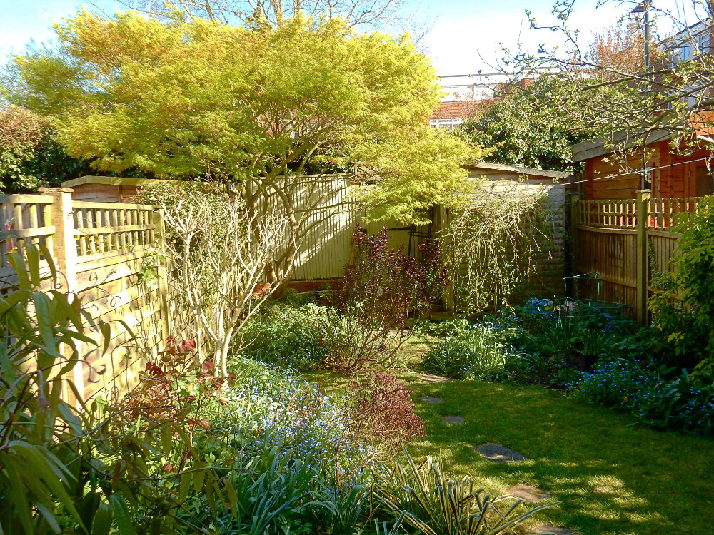 Readers' gardens April 2020 — Arthur Road Landscapes
