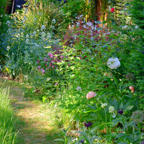 Readers' Gardens July 2020 — Arthur Road Landscapes