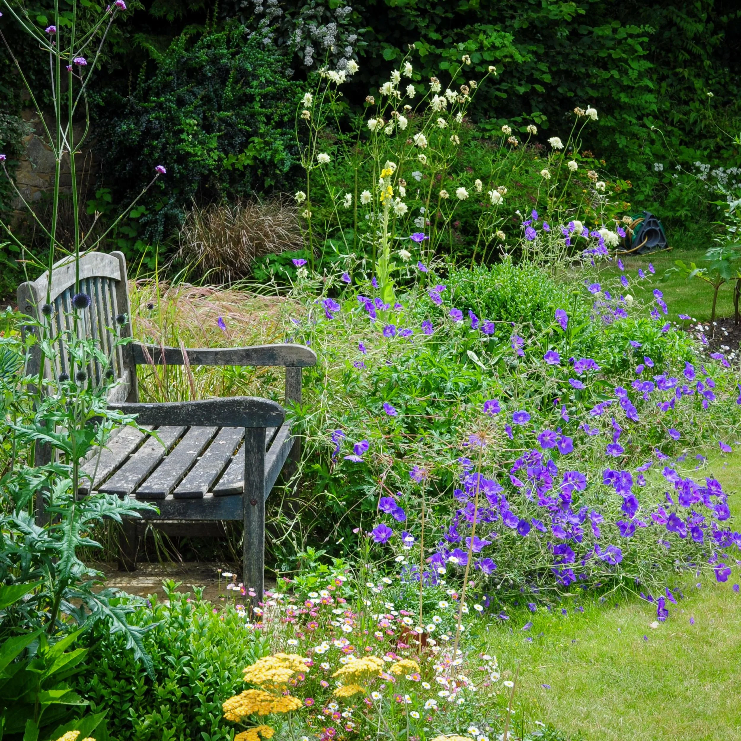 What are the health and well-being benefits of a designed garden?