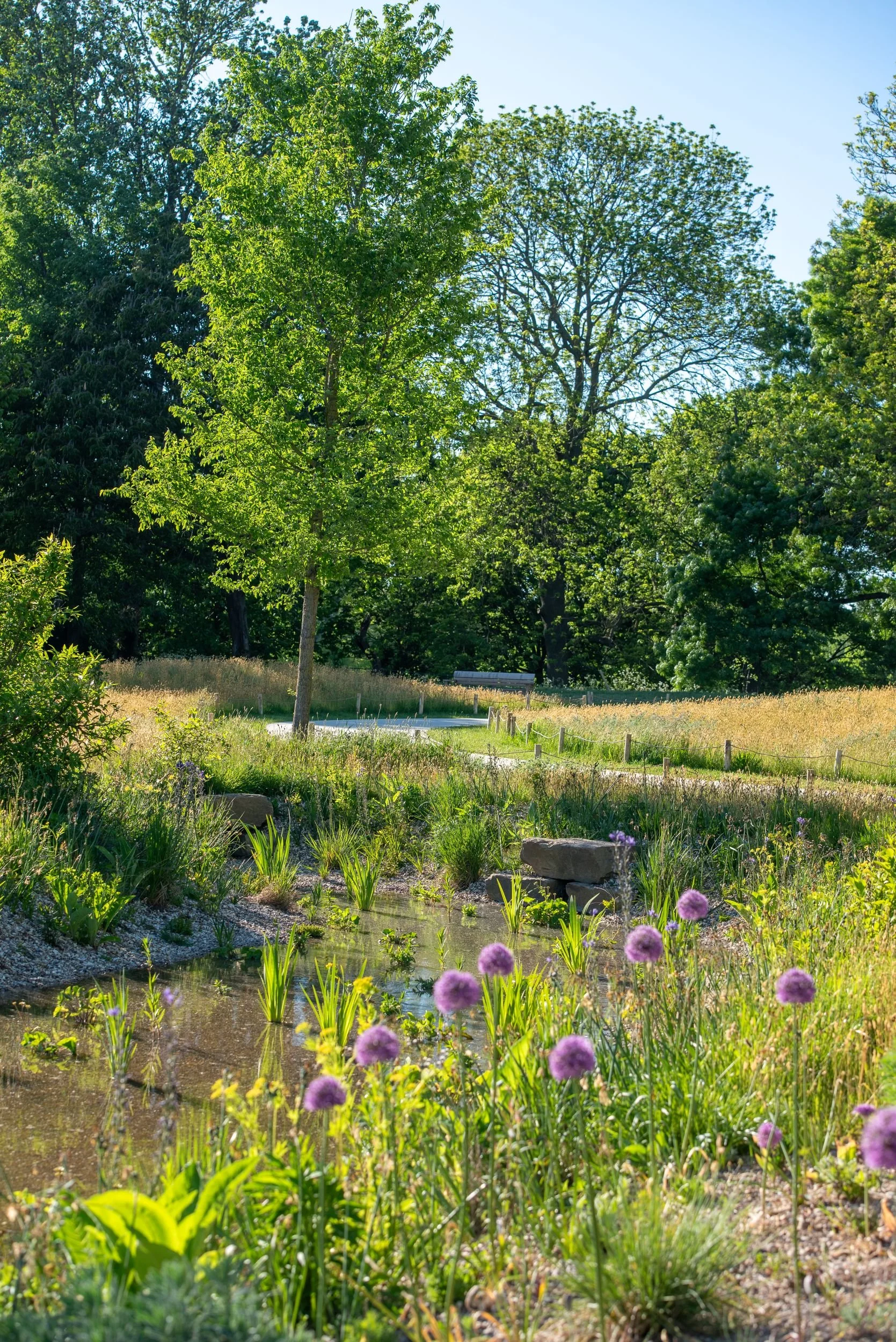 Queen Elizabeth II Garden